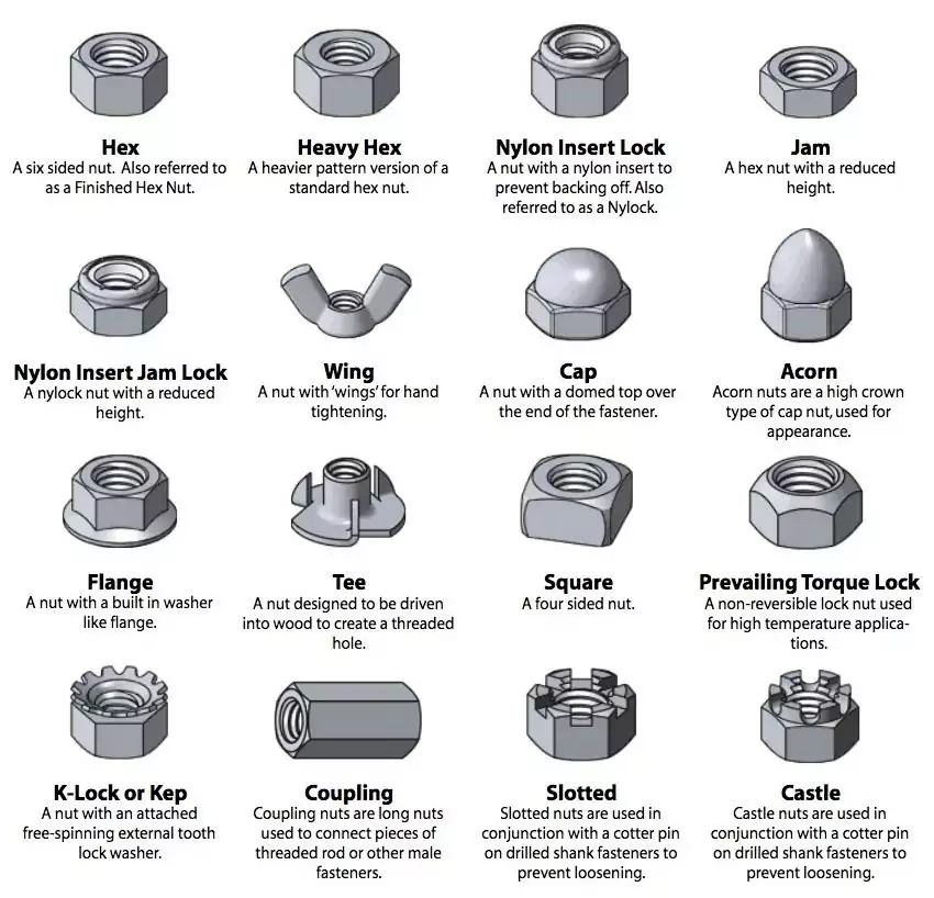 types of nuts